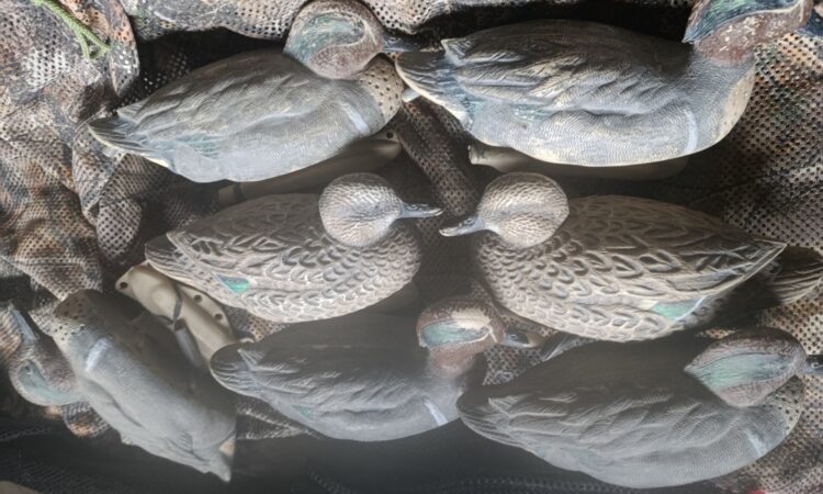 Satılık ÜRÜN – Tekirdağ – İlan 28062 – Görsel 28063