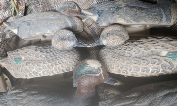 Satılık ÜRÜN – Tekirdağ – İlan 28062 – Görsel 28066