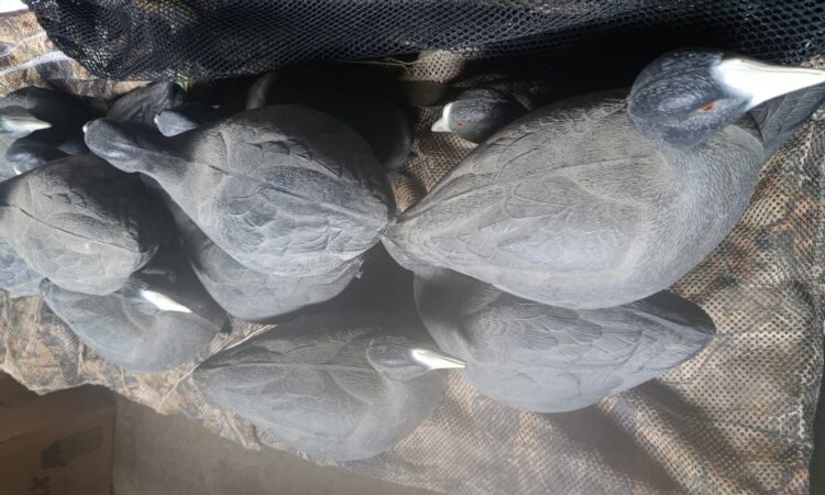 Satılık ÜRÜN – Tekirdağ – İlan 27133 – Görsel 27136