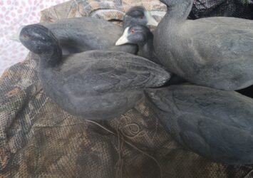 Satılık ÜRÜN – Tekirdağ – İlan 27133 – Görsel 27135