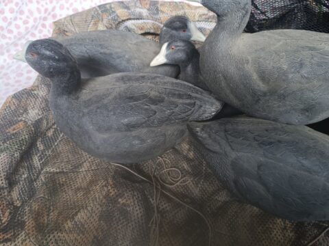 Satılık ÜRÜN – Tekirdağ – İlan 27133 – Görsel 27135