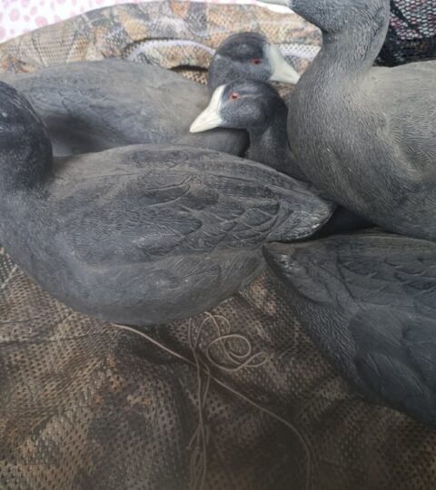 Satılık ÜRÜN – Tekirdağ – İlan 27133 – Görsel 27135