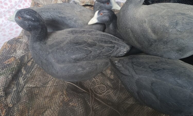 Satılık ÜRÜN – Tekirdağ – İlan 27133 – Görsel 27135