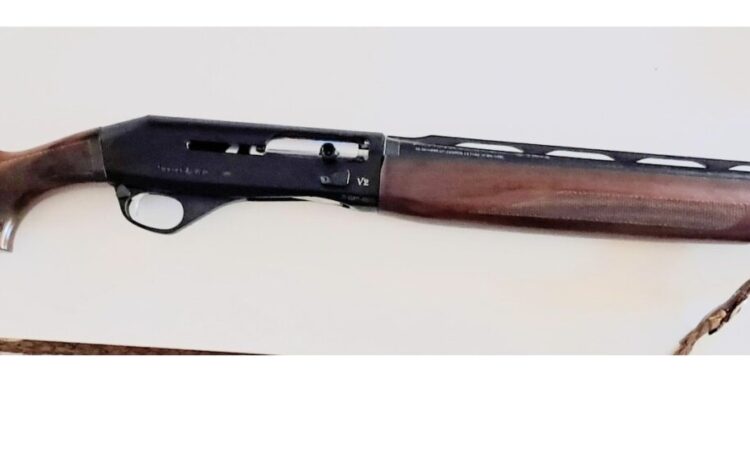 Satılık YİVSİZ TÜFEK – Stoeger M3020 V2 – 20 Kalibre – İzmir – İlan 24998 – Görsel 27750