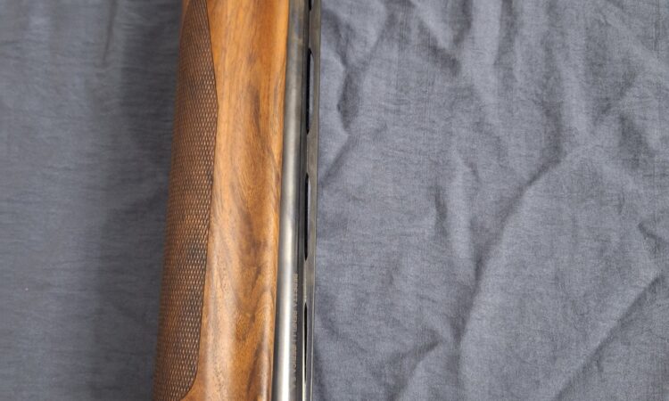 Satılık YİVSİZ TÜFEK – BBI Benelli SL 80 Pasion Falcon – 12 Kalibre – Sivas – İlan 29087 – Görsel 29095