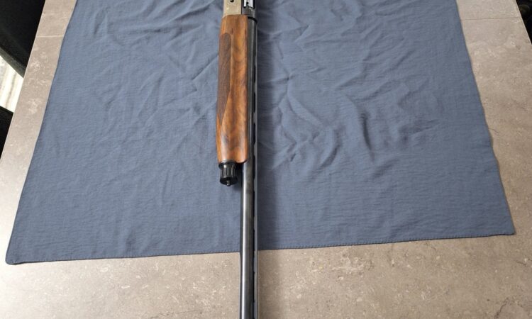 Satılık YİVSİZ TÜFEK – BBI Benelli SL 80 Pasion Falcon – 12 Kalibre – Sivas – İlan 29087 – Görsel 29096