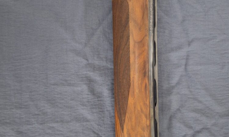 Satılık YİVSİZ TÜFEK – BBI Benelli SL 80 Pasion Falcon – 12 Kalibre – Sivas – İlan 29087 – Görsel 29099