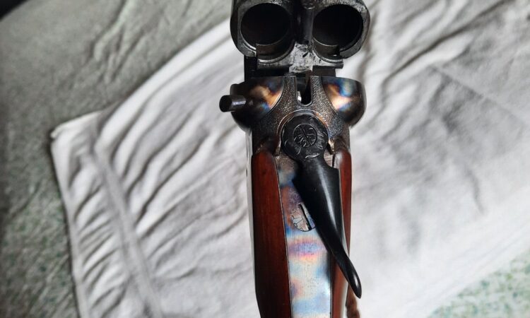 Satılık YİVSİZ TÜFEK – AYA Çifte – 16 Kalibre – Ordu – İlan 27209 – Görsel 27213