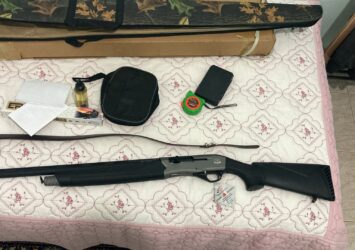 Satılık YİVSİZ TÜFEK – Maestro SRNY.03 – 12 Kalibre – Hatay – İlan 27721 – Görsel 27722