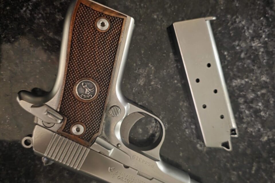 Satılık TABANCA – Colt Government – 380 Auto (Kısa 9) – Taşıma Ruhsatlı – İstanbul – İlan 19093 – Görsel 30541