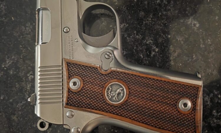 Satılık TABANCA – Colt Government – 380 Auto (Kısa 9) – Taşıma Ruhsatlı – İstanbul – İlan 19093 – Görsel 30542