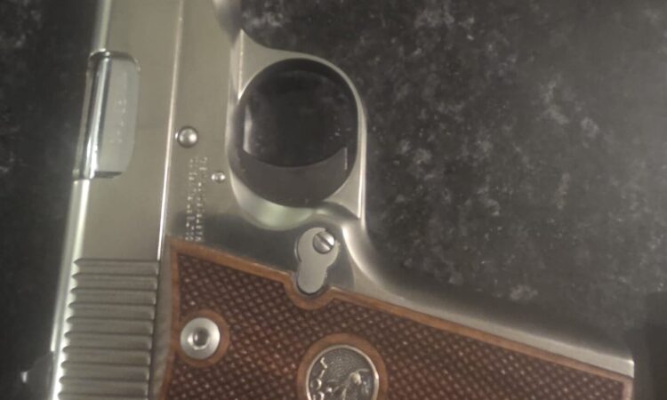 Satılık TABANCA – Colt Government – 380 Auto (Kısa 9) – Taşıma Ruhsatlı – İstanbul – İlan 19093 – Görsel 30539