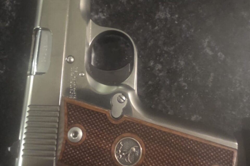 Satılık TABANCA – Colt Government – 380 Auto (Kısa 9) – Taşıma Ruhsatlı – İstanbul – İlan 19093 – Görsel 30539