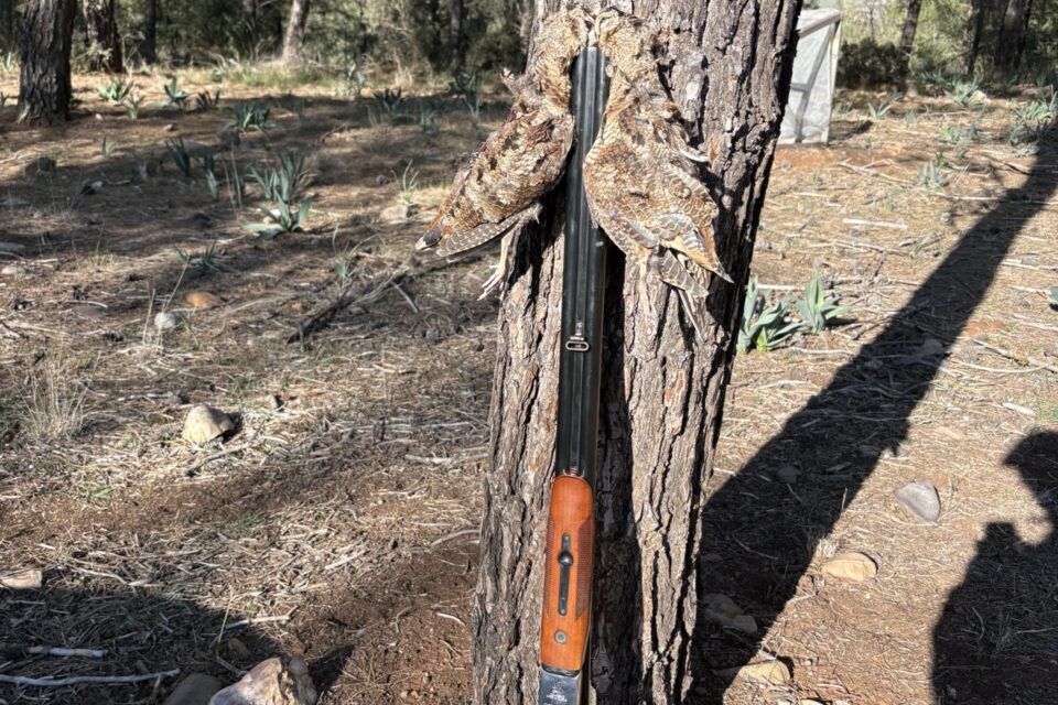 Satılık YİVSİZ TÜFEK – Baikal MP 43 – 12 Kalibre – Adana – İlan 28763 – Görsel 28767