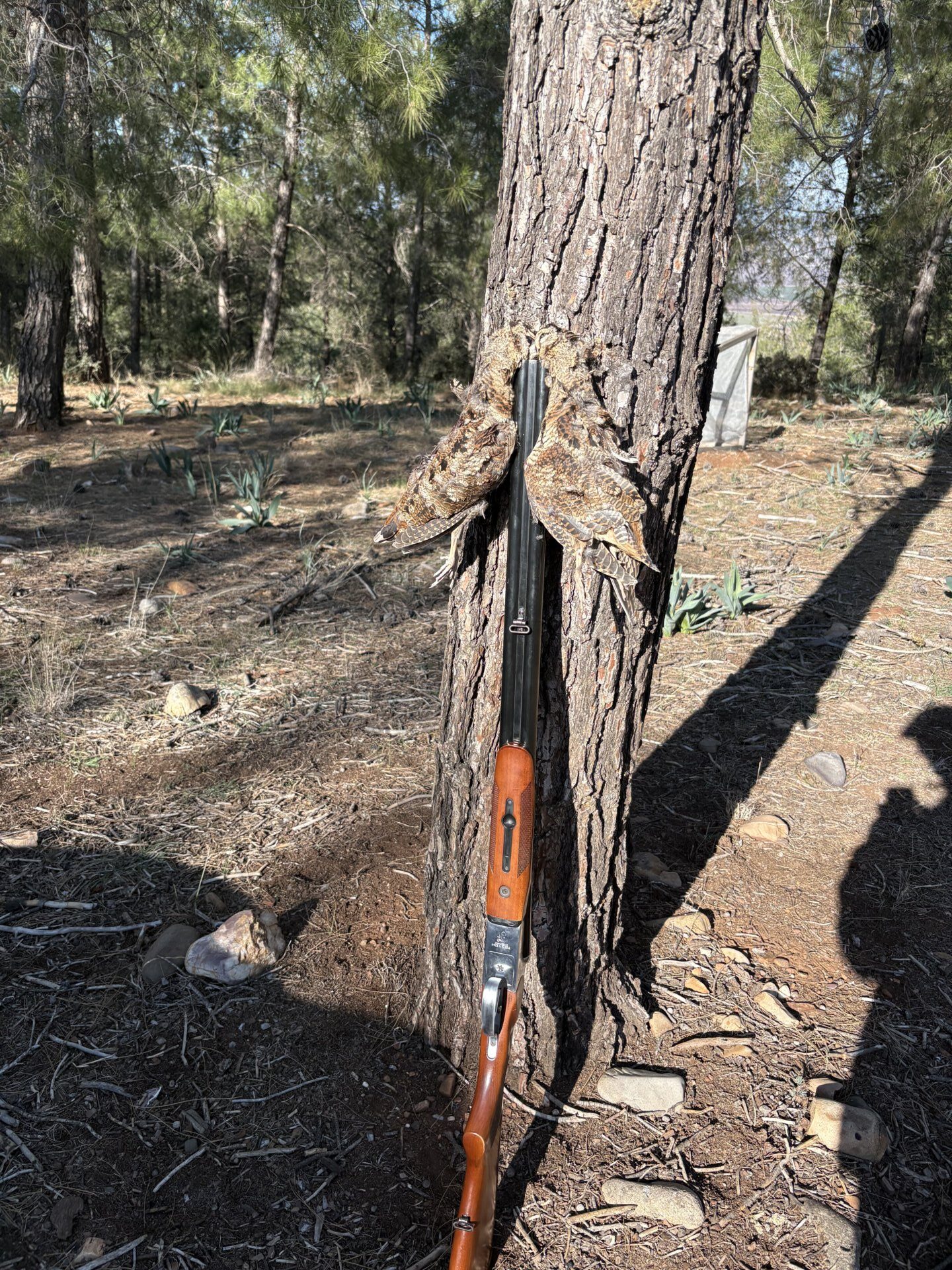 Rus baikal çifte tek tetik enjektörlü - Silahilan.com