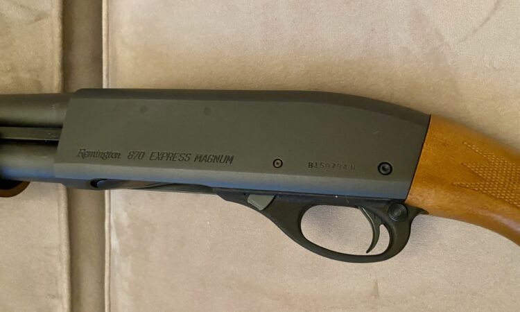 Satılık YİVSİZ TÜFEK – Remington 870 – 12 Kalibre – Denizli – İlan 30631 – Görsel 30634