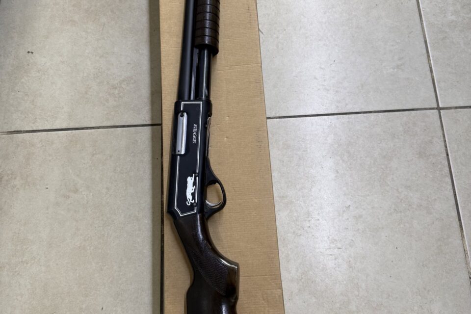 Satılık YİVSİZ TÜFEK – Hatsan Panter – 12 Kalibre – İzmir – İlan 30293 – Görsel 30298