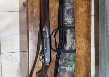 Maestro IS50x4 - Silahilan.com