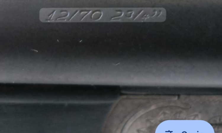 Satılık YİVSİZ TÜFEK – Sauer Çifte – 12 Kalibre – Isparta – İlan 33175 – Görsel 33179