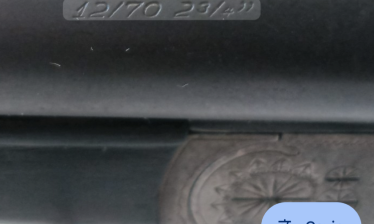 Satılık YİVSİZ TÜFEK – Sauer Çifte – 12 Kalibre – Isparta – İlan 33175 – Görsel 33176