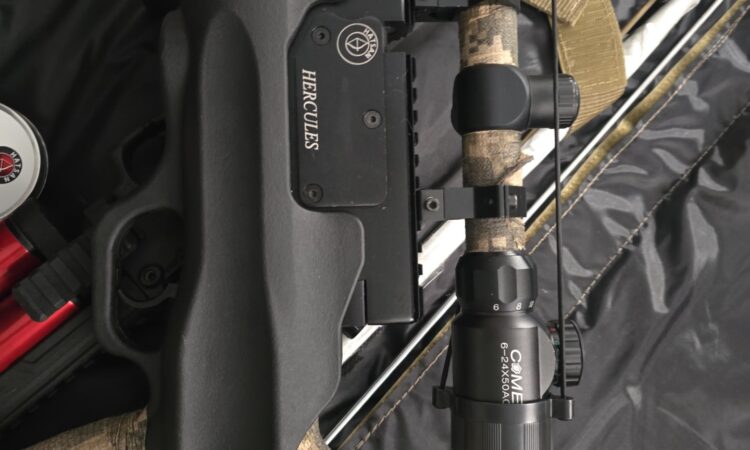 Satılık Havalı Tüfek – Hatsan – 6.35mm (.25) – İstanbul – İlan 33666 – Görsel 33670