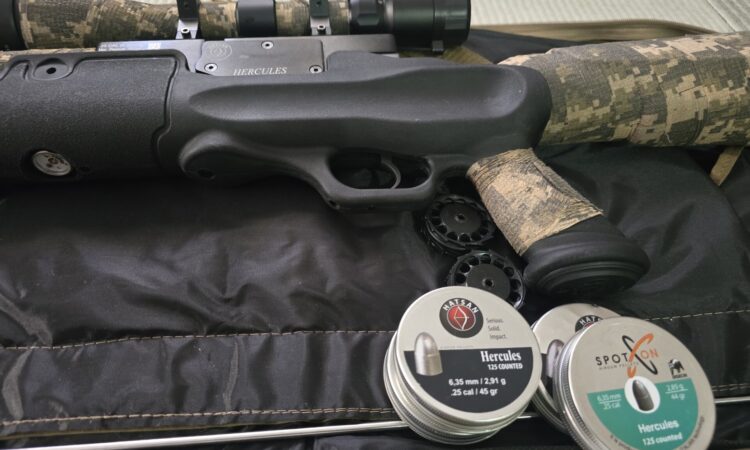 Satılık Havalı Tüfek – Hatsan – 6.35mm (.25) – İstanbul – İlan 33666 – Görsel 33671