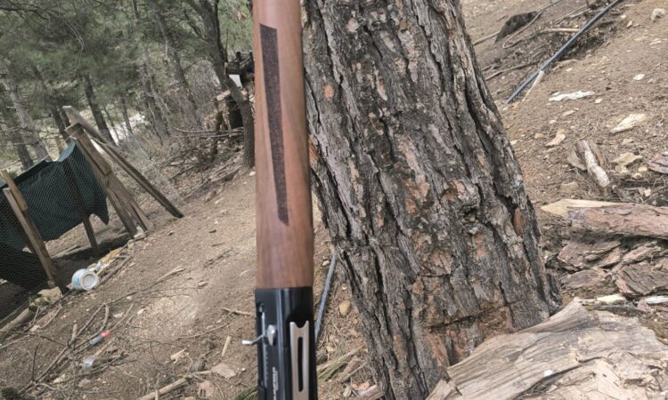 Satılık YİVSİZ TÜFEK – Armsan Phenoma – 12 Kalibre – Adana – İlan 34290 – Görsel 34291