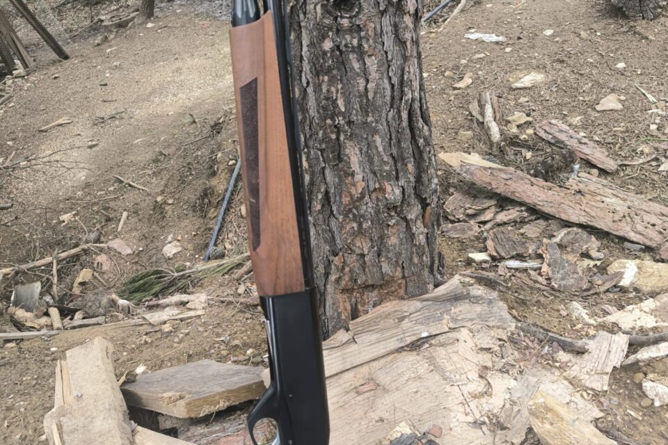 Satılık YİVSİZ TÜFEK – Armsan Phenoma – 12 Kalibre – Adana – İlan 34290 – Görsel 34294