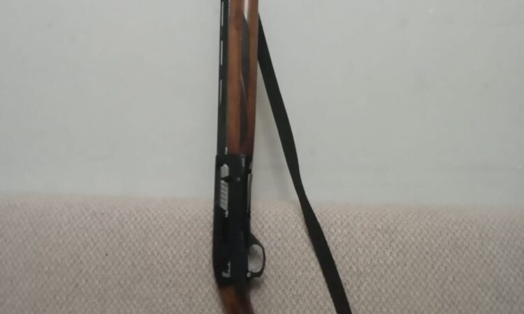 Satılık YİVSİZ TÜFEK – Özkanlar FX-12 – 12 Kalibre – İzmir – İlan 30885 – Görsel 30888