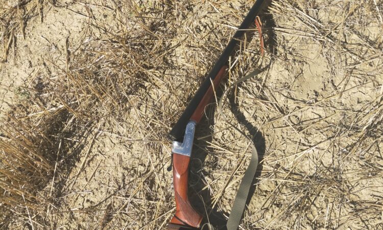 Satılık YİVSİZ TÜFEK – Üzümlü Süperpoze – 12 Kalibre – Kütahya – İlan 31992 – Görsel 31996