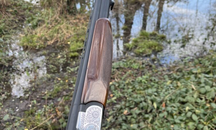 Satılık YİVSİZ TÜFEK – Avsan Süperpoze – 20 Kalibre – Bartın – İlan 30920 – Görsel 30923