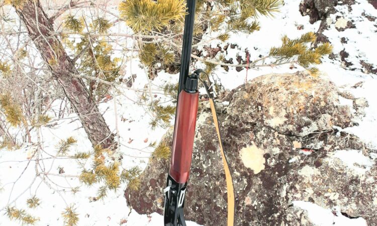 Satılık YİVSİZ TÜFEK – Stoeger M3000 – 12 Kalibre – Kocaeli – İlan 31067 – Görsel 31070