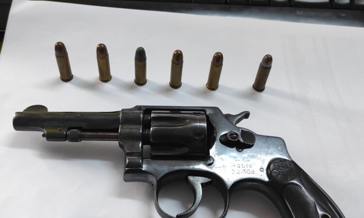 Satılık TABANCA – Smith & Wesson Victory Model – 32 SW Long – Taşıma Ruhsatlı – Mersin – İlan 34235 – Görsel 34237