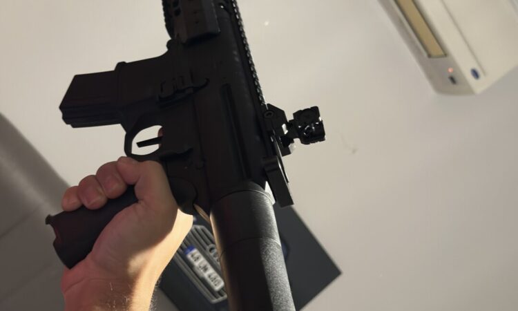 Satılık Havalı Tüfek – Sig Sauer – 4.5mm (.177) – Muğla – İlan 34283 – Görsel 34284
