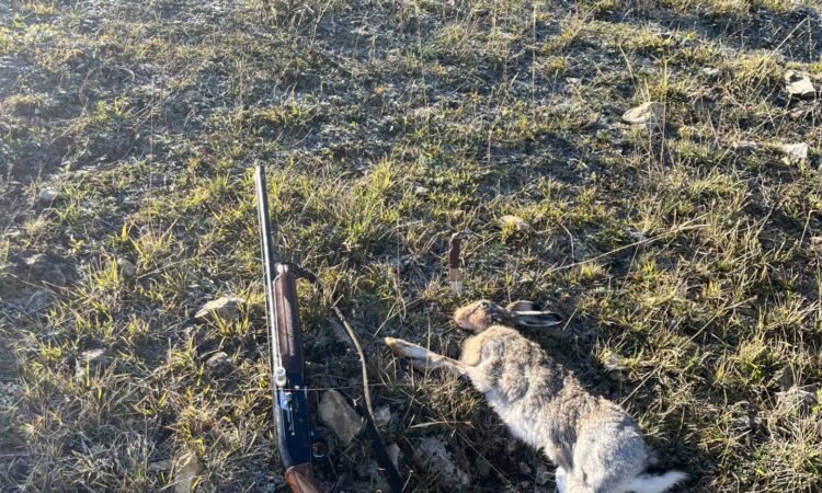 Satılık YİVSİZ TÜFEK – Stoeger M3000 – 12 Kalibre – Kocaeli – İlan 31067 – Görsel 31075