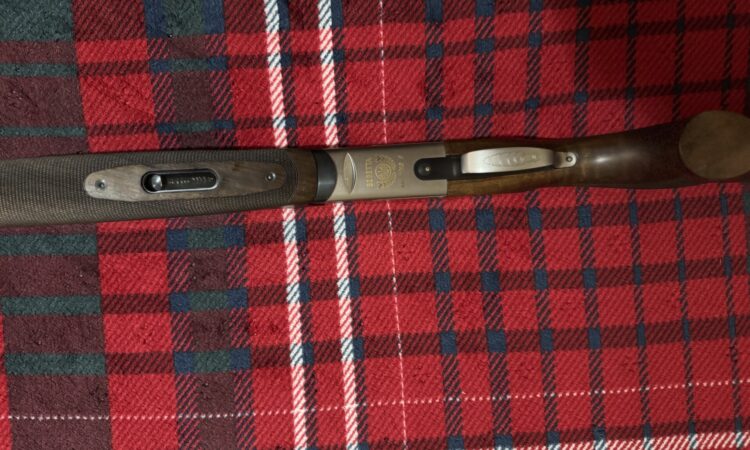 Satılık YİVSİZ TÜFEK – Beretta 682 – 12 Kalibre – Samsun – İlan 34351 – Görsel 34355