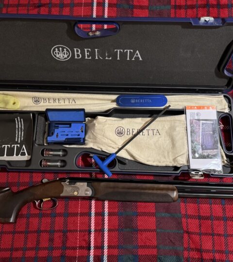 Satılık YİVSİZ TÜFEK – Beretta 682 – 12 Kalibre – Samsun – İlan 34351 – Görsel 34353