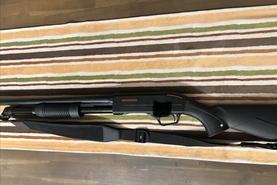 Satılık YİVSİZ TÜFEK – Winchester SXP – 12 Kalibre – İzmir – İlan 33938 – Görsel 33939