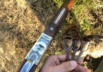 Satılık YİVSİZ TÜFEK – Yıldız SPZ – 12 Kalibre – Giresun – İlan 31611 – Görsel 31613