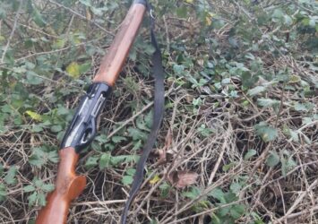 Satılık YİVSİZ TÜFEK – Torun 305 (OT) – 12 Kalibre – Kocaeli – İlan 32178 – Görsel 32185