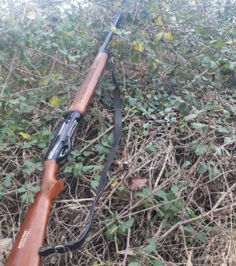 Satılık YİVSİZ TÜFEK – Torun 305 (OT) – 12 Kalibre – Kocaeli – İlan 32178 – Görsel 32185