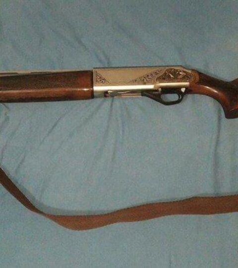 Satılık YİVSİZ TÜFEK – Maestro IS-50 – 12 Kalibre – İzmir – İlan 31369 – Görsel 31371