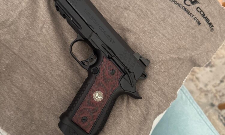 Satılık TABANCA – Wilson Combat EDC X9 2.0 – 9mm (9x19mm) – Bulundurma Ruhsatlı – Sakarya – İlan 34218 – Görsel 34220