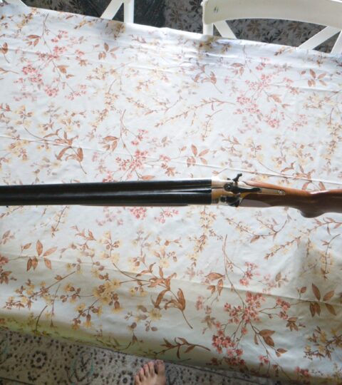 Satılık YİVSİZ TÜFEK – Franchi Elegante – 16 Kalibre – Bartın – İlan 36208 – Görsel 36212