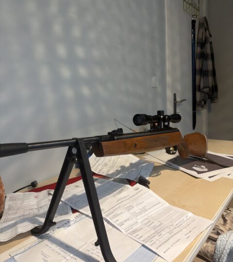 Satılık Havalı Tüfek – Hatsan – 5.5mm (.22) – Mersin – İlan 35235 – Görsel 35236