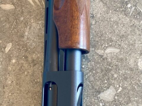 Satılık YİVSİZ TÜFEK – Remington 870 – 12 Kalibre – Denizli – İlan 35283 – Görsel 35285