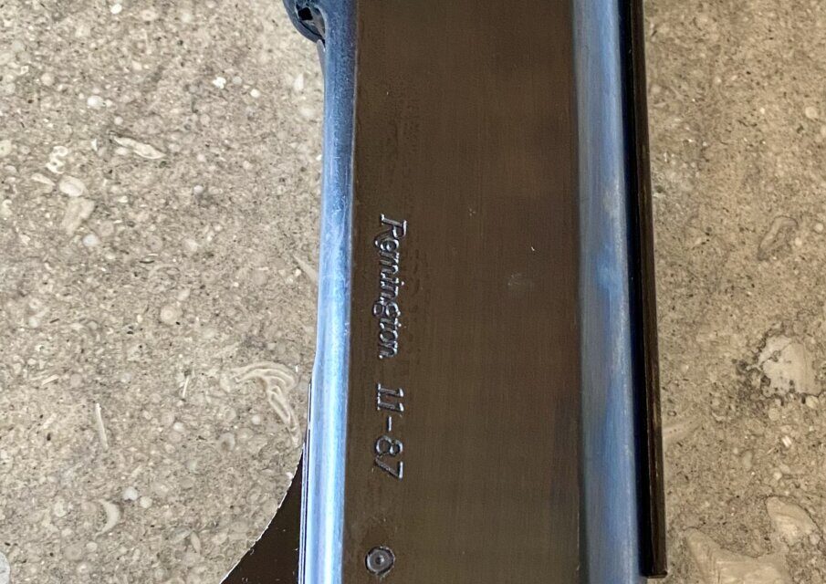 Satılık YİVSİZ TÜFEK – Remington 11-87 – 12 Kalibre – Denizli – İlan 35276 – Görsel 35280