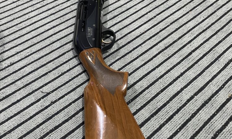 Satılık YİVSİZ TÜFEK – Hatsan Escort Supreme – 12 Kalibre – İzmir – İlan 34567 – Görsel 34571