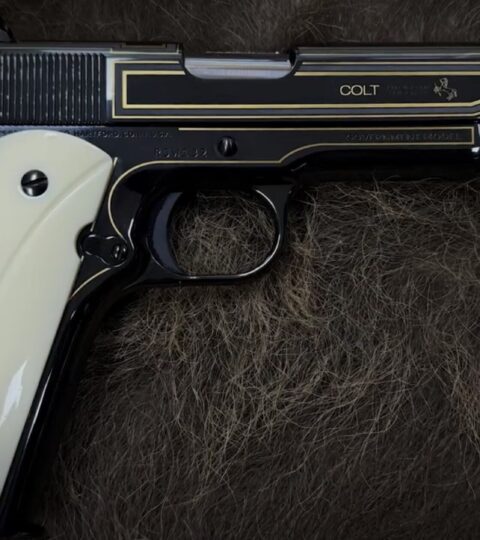 Satılık TABANCA – Colt Government – 45 ACP – Taşıma Ruhsatlı – Ankara – İlan 35932 – Görsel 35998