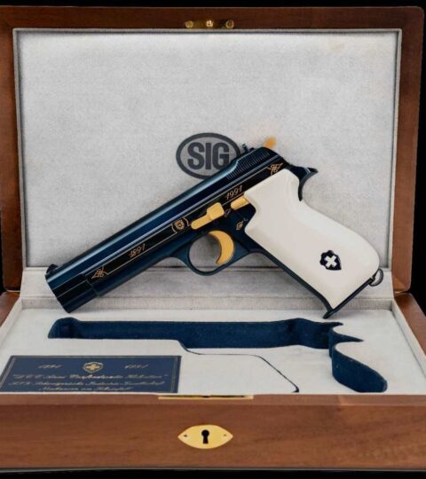 Satılık TABANCA – Sig Sauer P210 – 9mm (9x19mm) – Taşıma Ruhsatlı – İstanbul – İlan 40551 – Görsel 40574
